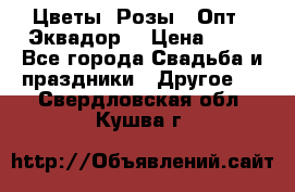 Цветы. Розы.  Опт.  Эквадор. › Цена ­ 50 - Все города Свадьба и праздники » Другое   . Свердловская обл.,Кушва г.